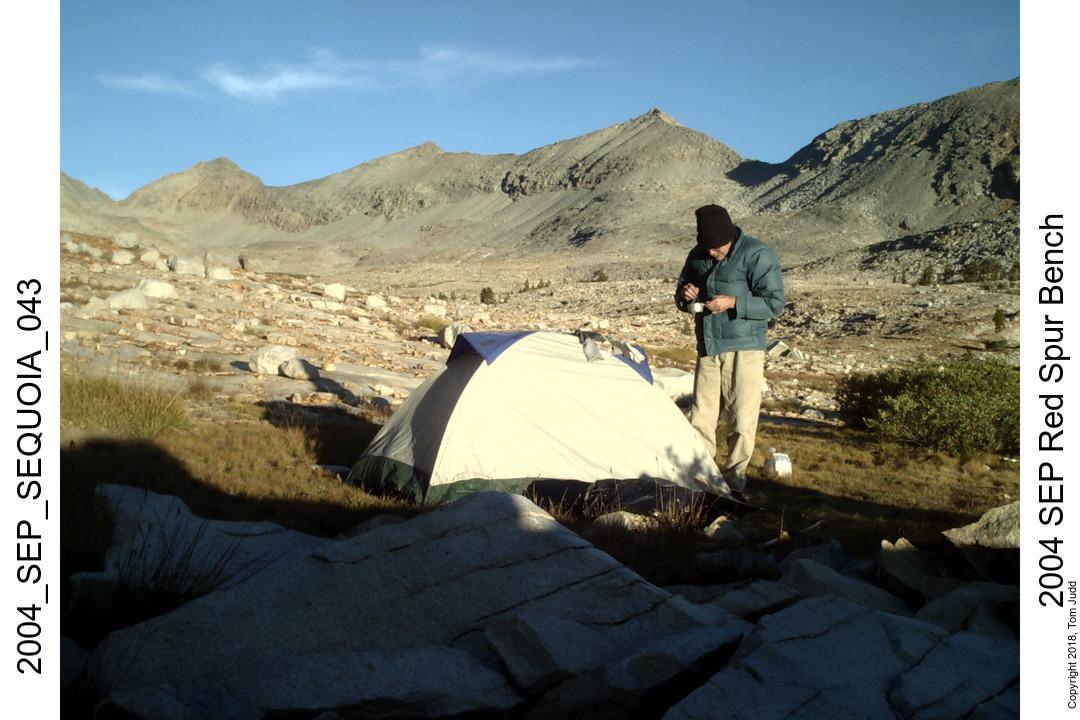 2004 tent
