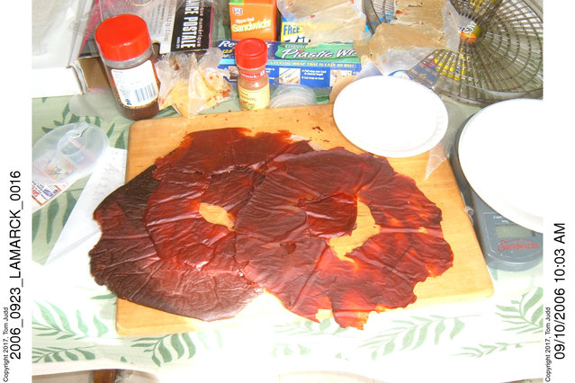 Dehydrated Tomato Paste